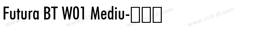 Futura BT W01 Mediu字体转换